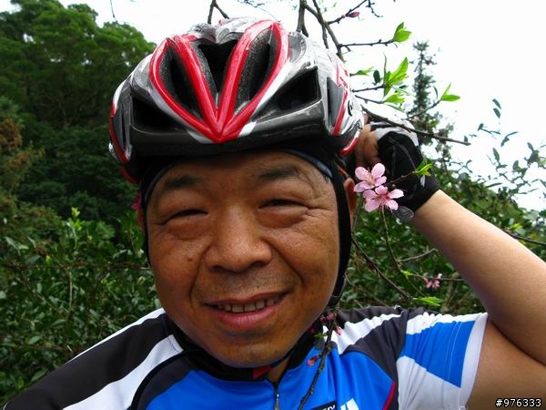 [分享]漫步．櫻花雨路:莫名其妙之中正山越嶺復興三路