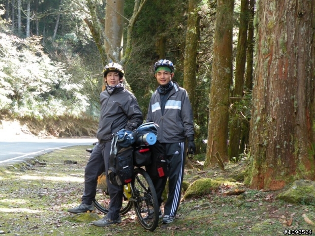 阿里山與新中橫 三天兩夜單車行(1/24~1/26)