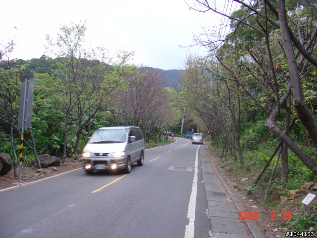 北投賞櫻花、花沒開之新路線~小楊桃路線(1)