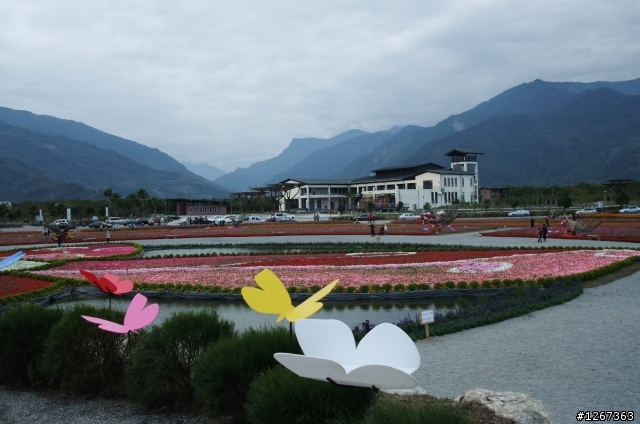 池上米~台東縣池上鄉~台灣好米池上香