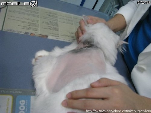 Nini與惡性腫瘤奮鬥過程全記錄(5/23更新-完結篇 詳情請看第一頁)