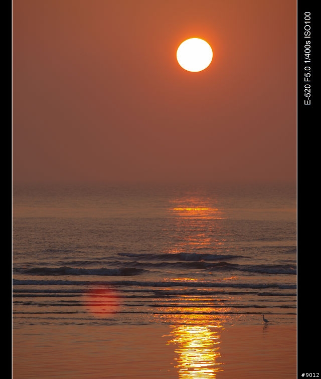 [景點]永安漁港之夕陽