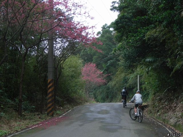 [寒假作業] 小五生單車成人禮-北橫公路單車一日行