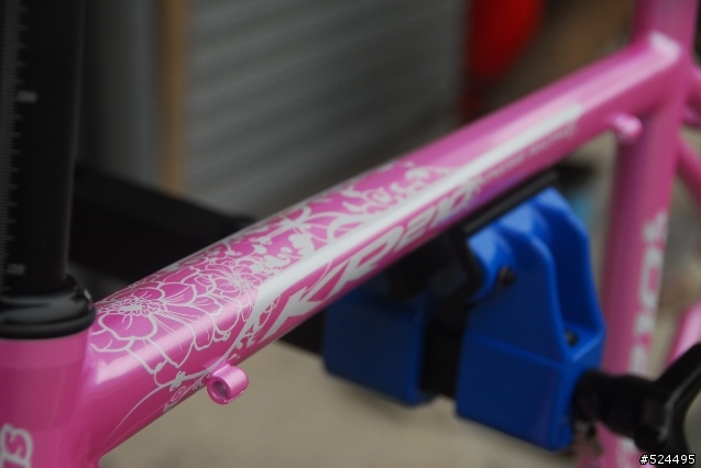 謹獻給辛苦的、親愛的女王~KINESIS KR-210L~20090224 PINK LADY開箱囉~