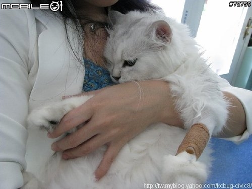 Nini與惡性腫瘤奮鬥過程全記錄(5/23更新-完結篇 詳情請看第一頁)