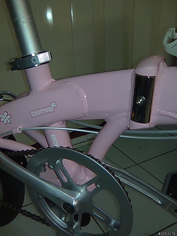 [分享] 09 DAHON curve D3 ~粉紅小花