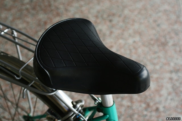 老媽的鋼管車 - Raleigh Lafound Sport