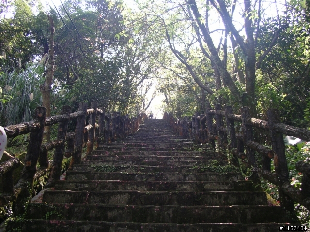 橘子滾吧  坪林  北宜行