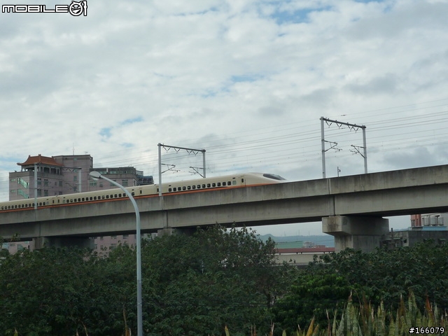 鶯歌樹林半日行