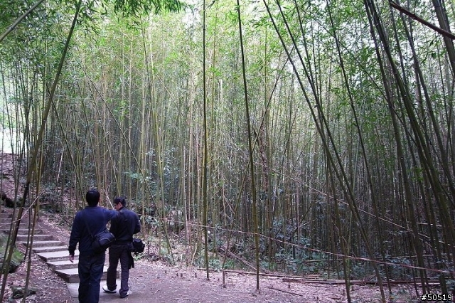南庄...原來離我不遠  _GX200 的