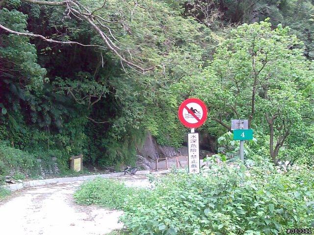知本林道初探