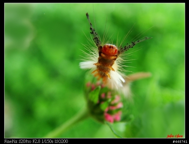 試拍 S20 PRO