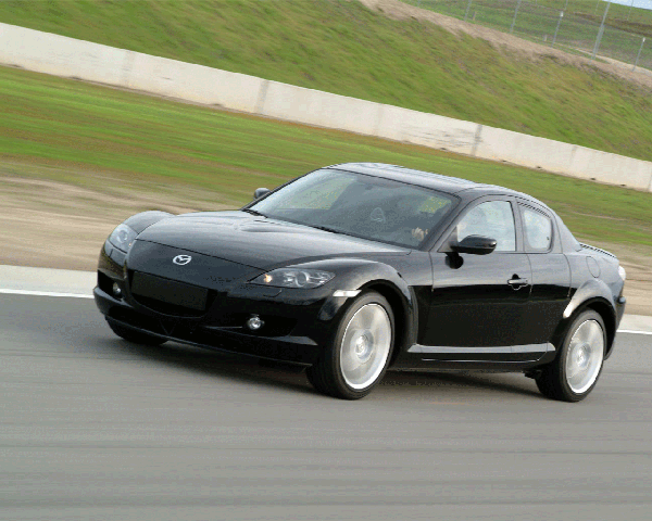 09年作品第3彈 1/24 MAZDA RX-8