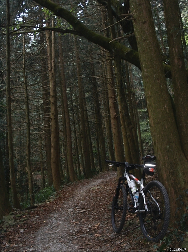 魔力幻化的北大武登山口