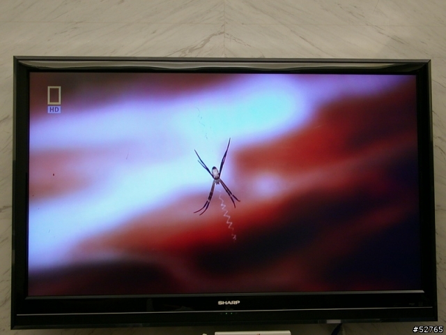 [開箱文 風雲再起] 燒的喲!!!之第二回 SHARP 52" LC-52D85U 液晶電視  【補上圖片了…】