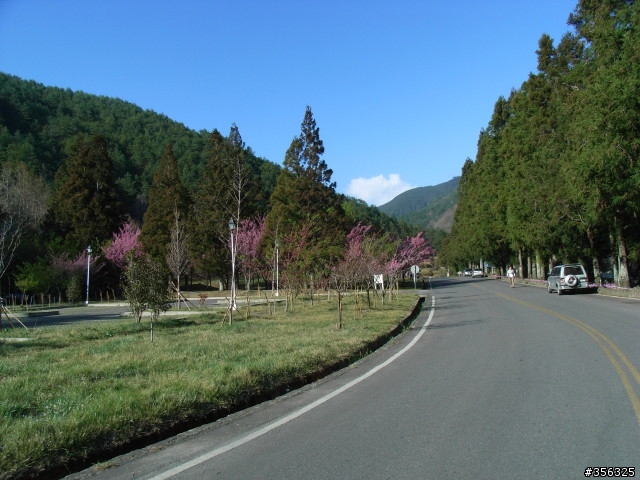 [遊記] 海拔1800M自行車道超感動誌 中橫宜蘭支線~武陵農場單車2日遊(2011.02.21 update)