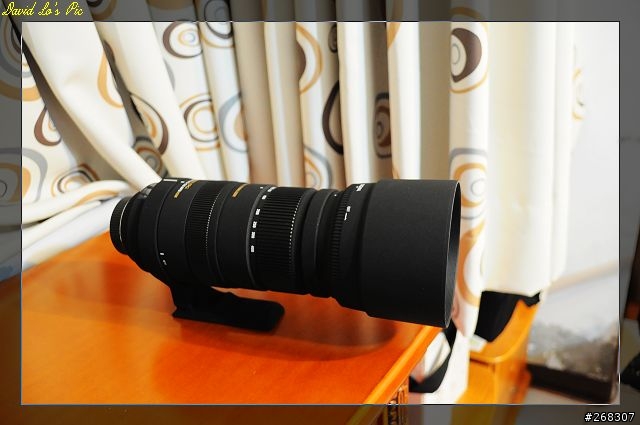 (3/26再次新增試拍圖,在第三頁,稍微熟練點了)Sigma 120~400mm F4.5-5.6 APO DG OS 開箱文