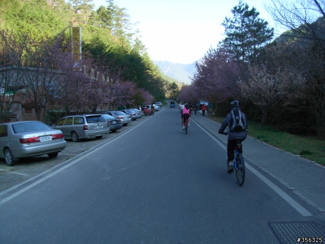 [遊記] 海拔1800M自行車道超感動誌 中橫宜蘭支線~武陵農場單車2日遊(2011.02.21 update)