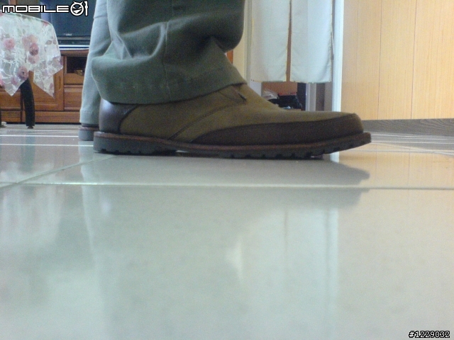 [開箱] Timberland #66579 休閒鞋