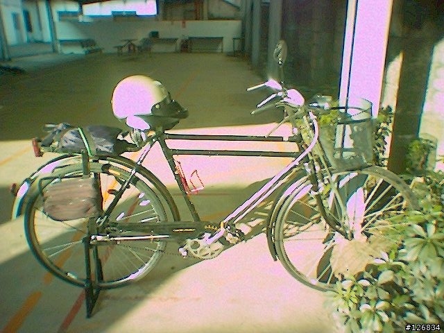 貧窮單車改裝記--我的鳳凰牌武車