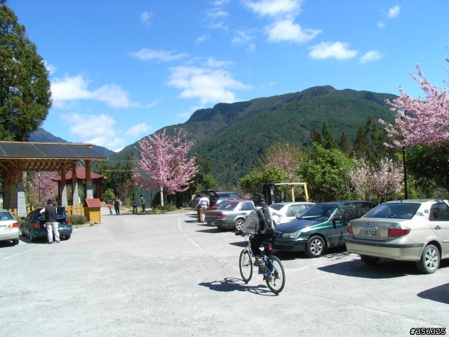 [遊記] 海拔1800M自行車道超感動誌 中橫宜蘭支線~武陵農場單車2日遊(2011.02.21 update)