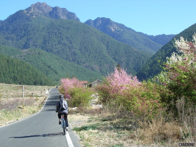 [遊記] 海拔1800M自行車道超感動誌 中橫宜蘭支線~武陵農場單車2日遊(2011.02.21 update)