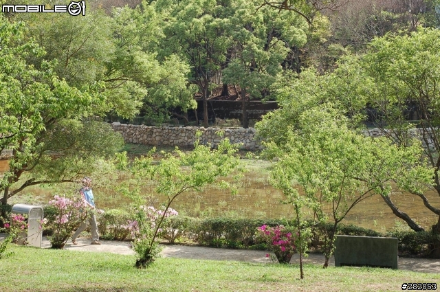 拉拉山二日遊