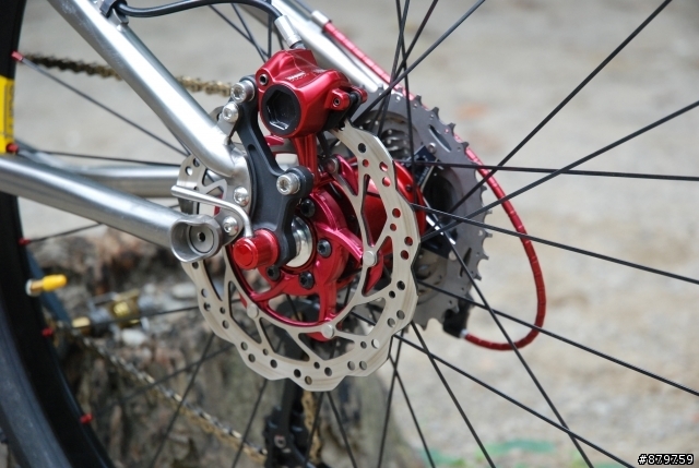 litespeed-sewanee的後鈎爪