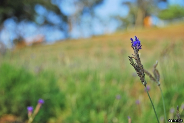Simga?Nikon?不用考慮了N18-200VR 旅遊好鏡