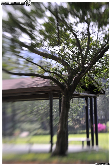LENSBABY之鏡頭三兄弟