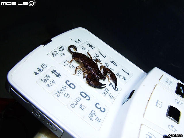 鍵盤是我的棲身之處