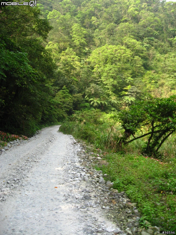 武荖坑林道適合闔家出遊，簡單OFF ROAD又可以玩水，還可以釣魚的地方。