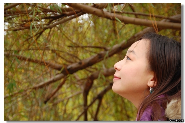 D40入手滿週年紀念之 該升級成D90嗎~~??  圖有點多喔...