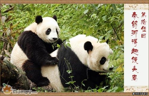 大陸最新版本《紅樓夢》劇照（超多圖）