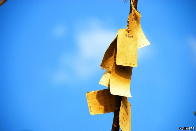 Simga?Nikon?不用考慮了N18-200VR 旅遊好鏡