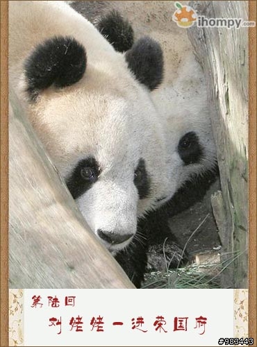 大陸最新版本《紅樓夢》劇照（超多圖）