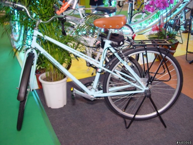 Stepdragon在2009單車展