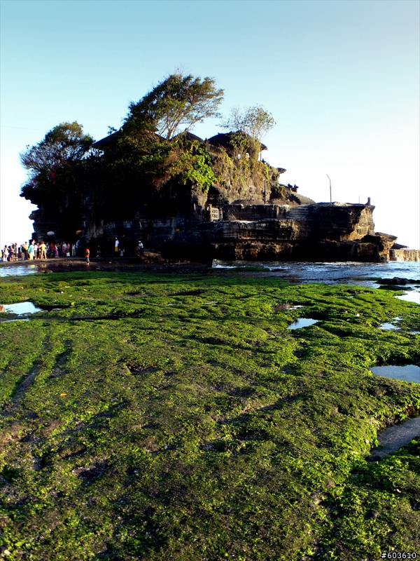 [巴里島]NusaDua的肉桂Villa