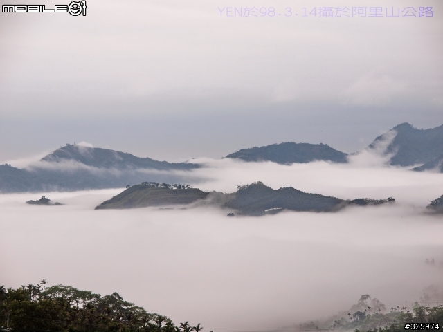 OLYMPUS E-30白色情人節の阿里山公路「雲海」