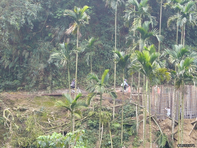 [分享]搖擺之獨角仙農場石弄林場中崙溫泉鐵馬行－凡骨篇