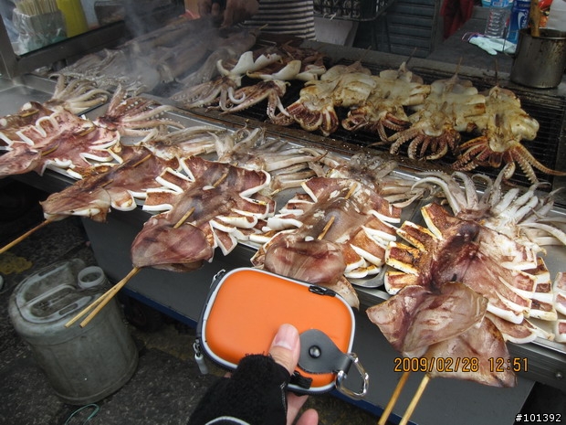 台中慢慢騎2009-02-28-鹿港一日遊吃吃喝喝照片
