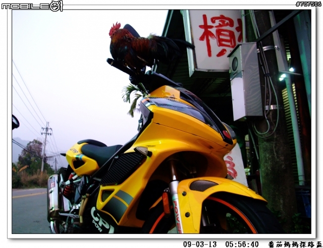 [關懷盃]任務成功~感謝大家!!3月29日青年節~關懷盃第二彈~~番茄媽媽~~