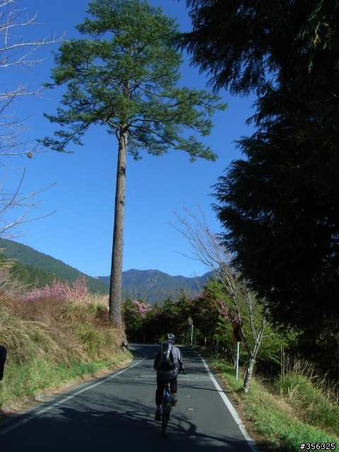 [遊記] 海拔1800M自行車道超感動誌 中橫宜蘭支線~武陵農場單車2日遊(2011.02.21 update)
