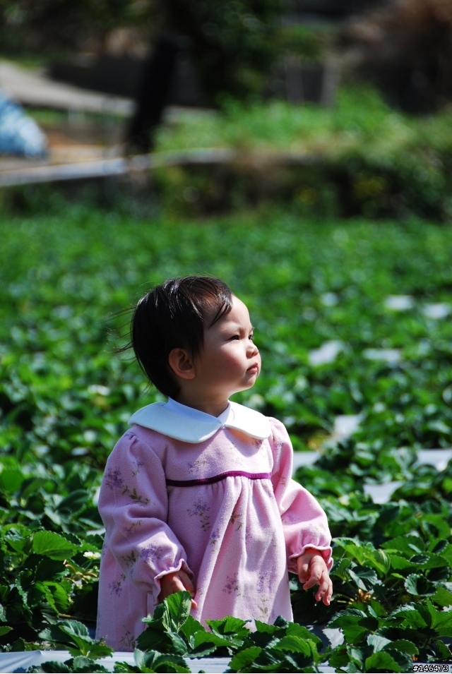 Simga?Nikon?不用考慮了N18-200VR 旅遊好鏡