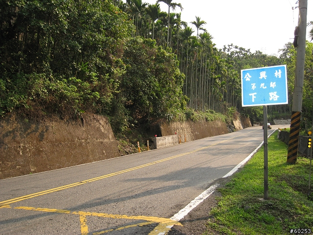 嘉義縣 中埔→阿里山公路→龍美→達娜伊谷→茶山→大埔→台三線→中埔