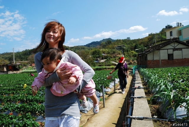 Simga?Nikon?不用考慮了N18-200VR 旅遊好鏡