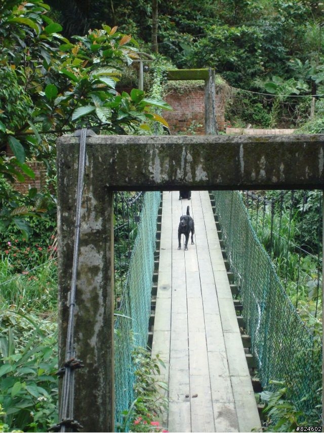 石碇北47 - 小山小水的閒情逸致