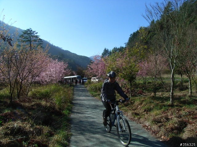 [遊記] 海拔1800M自行車道超感動誌 中橫宜蘭支線~武陵農場單車2日遊(2011.02.21 update)