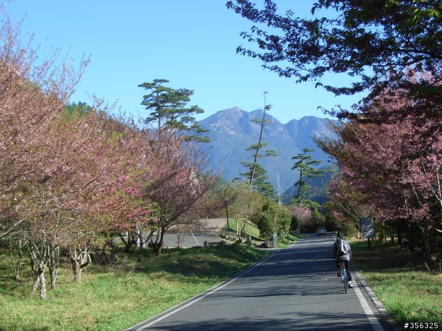 [遊記] 海拔1800M自行車道超感動誌 中橫宜蘭支線~武陵農場單車2日遊(2011.02.21 update)