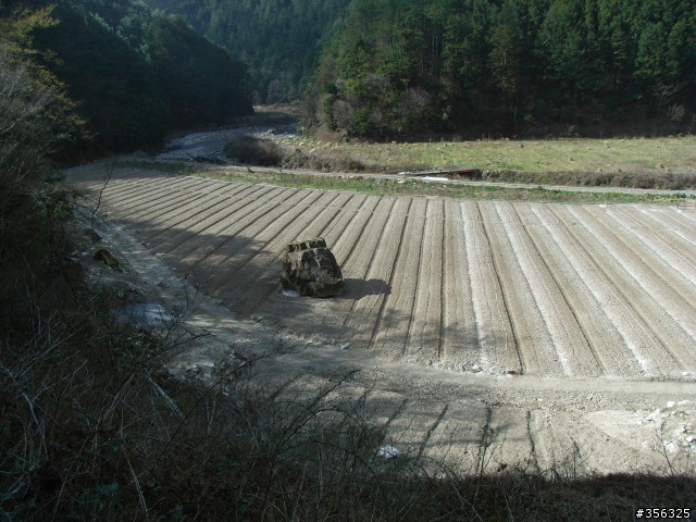 [遊記] 海拔1800M自行車道超感動誌 中橫宜蘭支線~武陵農場單車2日遊(2011.02.21 update)